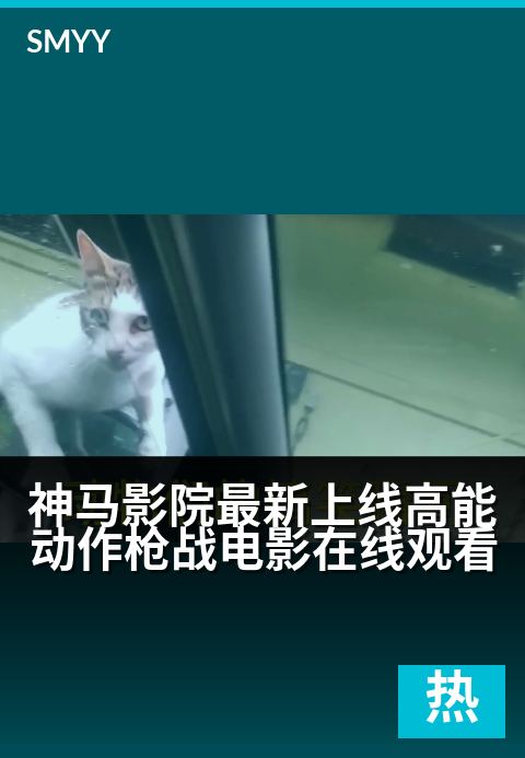 神马影院最新上线高能动作枪战电影在线观看 - 硬核对决火爆燃屏，震撼视效直击肾上腺素！-正在热映电影海报