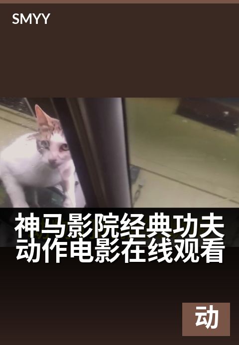 神马影院经典功夫动作电影在线观看 - 热血激战,拳拳到肉